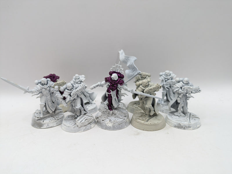 Warhammer 40k: Adepta Sororitas Battle Sisters Squad (CAB1027)