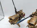 Warhammer 40k: Adeptus Custodes Vertus Praetors (CAB1061)