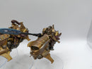 Warhammer 40k: Adeptus Custodes Vertus Praetors (CAB1061)