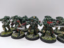 Warhammer 40k: Space Marines Dark Angels Reivers - Well Painted (AQ016)