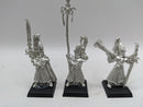 Warhammer The Old World: High Elves Metal Swordmasters of Hoeth Command (AT139)
