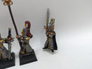 Warhammer The Old World: High Elves Metal Swordmasters of Hoeth Command (BC086)