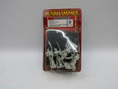Warhammer The Old World: Tomb Kings Metal Tomb Guard (AH062)