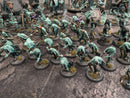 Age of Sigmar: Nighthaunt Army - Beautifully Painted (AB355)