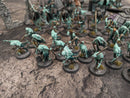 Age of Sigmar: Nighthaunt Army - Beautifully Painted (AB355)