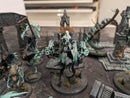 Age of Sigmar: Nighthaunt Army - Beautifully Painted (AB355)