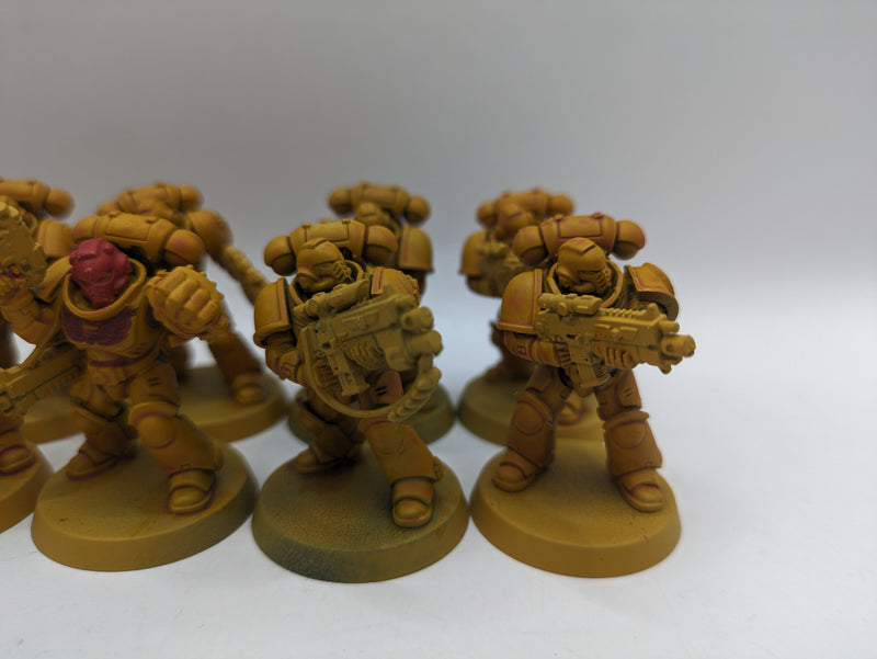 Warhammer 40k: Space Marine Intercessors (BC145)