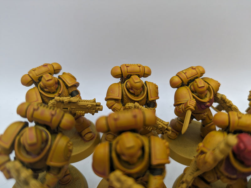 Warhammer 40k: Space Marine Intercessors (BC145)