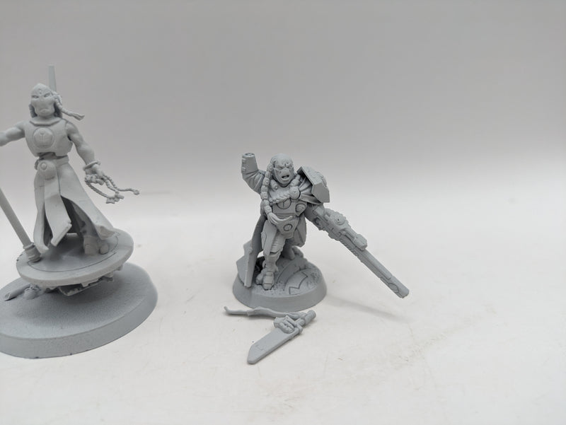 Warhammer 40k: T'au Empire Ethereal and Cadre Fireblade (AT032)