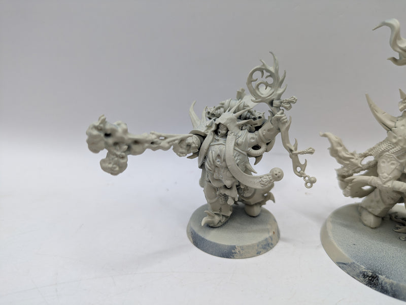 Warhammer 40k: Death Guard Lord of Contagion and Plaguecaster (CAB1036)