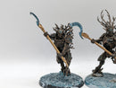 Age of Sigmar: Sylvaneth Kurnoth Hunters (AL041)