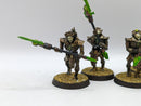 Warhammer 40k: Necron Lychguard (AO013)