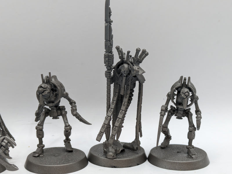 Warhammer 40k: Necron Plasmancer and Royal Warden (AJ019)