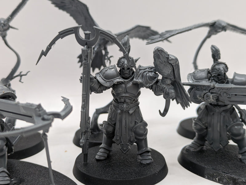 Age of Sigmar: Stormcast Eternals Vanguard-Raptors and Longstrike Crossbows (BA164)