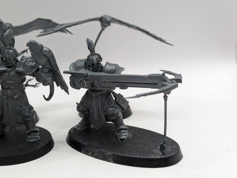 Age of Sigmar: Stormcast Eternals Vanguard-Raptors and Longstrike Crossbows (BA164)