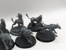 Age of Sigmar: Stormcast Eternals Gryph-Hounds (AW154)