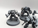 Warhammer 40k: Grey Knight Terminators (AZ213)