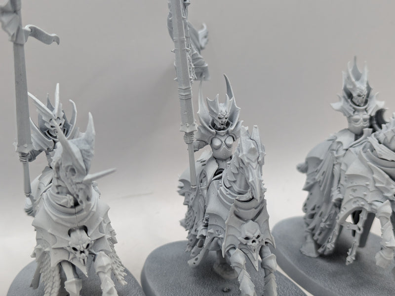 Age of Sigmar: Soulblight Gravelords Blood Knights (AX035)