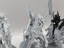 Age of Sigmar: Soulblight Gravelords Blood Knights (AX086)