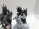 Age of Sigmar: Soulblight Gravelords Blood Knights (AX086)