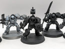 Warhammer 40k: Space Marine Grey Knight Paladins (AI067)