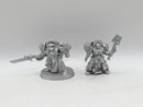 Warhammer 40k: Space Marine Grey Knight Finecast Terminator Librarian and Chaplain (AJ035)