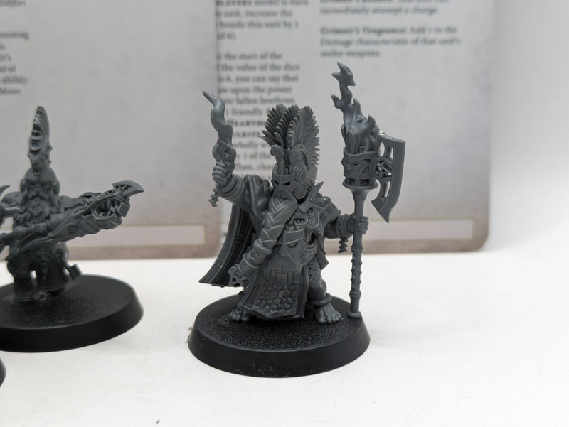 Age of Sigmar: Fyreslayers Auric Hearthguard and Auric Flamekeeper (AZ196)