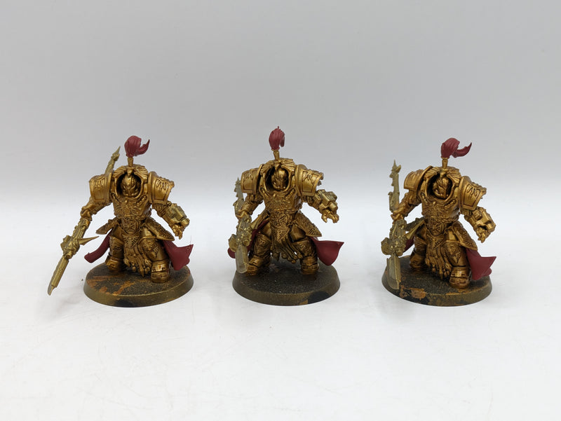 Warhammer 40k: Adeptus Custodes Allarus Terminators (CAB1084)