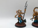 Age of Sigmar: Idoneth Deepkin Thrallmaster, Tidecaster and Soulrender (AT015)