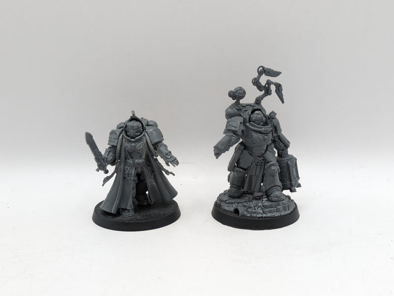 Warhammer 40k: Space Marine Primaris Librarian and Biologis (AN009)