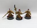 Warhammer 40k: Adeptus Custodes Allarus Terminators (AJ109)