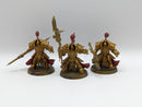 Warhammer 40k: Adeptus Custodes Allarus Terminators (AA114)