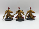 Warhammer 40k: Adeptus Custodes Allarus Terminators (AD104)