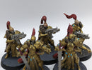 Warhammer 40k: Adeptus Custodes Vigilator and Blade Champion (AD037)