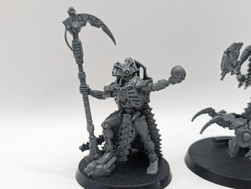 Warhammer 40k: Necrons Cryptek and Overlord (AA009)