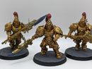 Warhammer 40k: Adeptus Custodes Custodian Guard Squad (AI105)