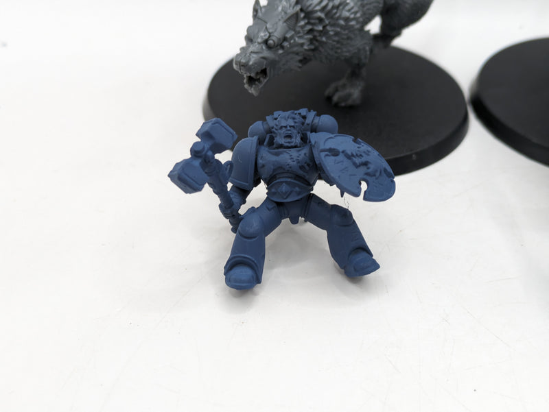 Warhammer 40k: Space Marine Space Wolves Thunderwolf Cavalry (BA194)