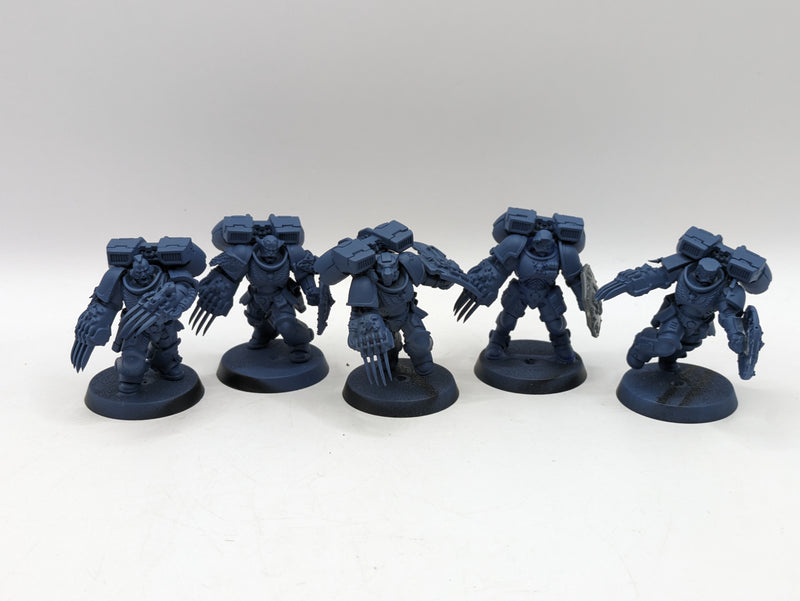 Warhammer 40k: Space Marine Space Wolves Converted Vanguard Veterans (AF031)