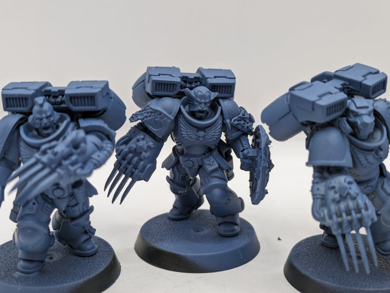 Warhammer 40k: Space Marine Space Wolves Converted Vanguard Veterans (AF031)