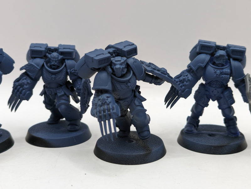 Warhammer 40k: Space Marine Space Wolves Converted Vanguard Veterans (AF031)