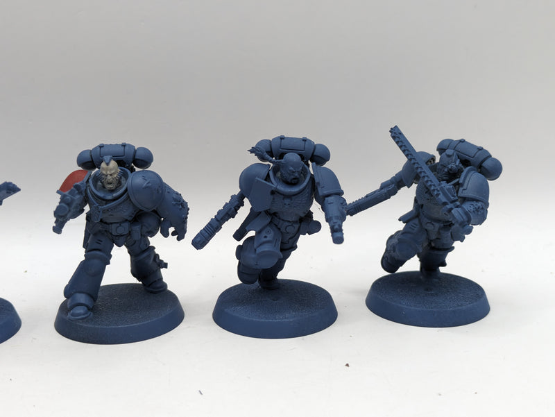 Warhammer 40k: Space Marine Space Wolves Assault Intercessors (AA071)