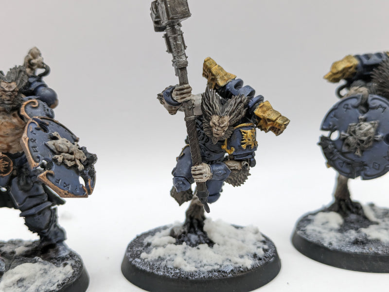 Warhammer 40k: Space Marine Space Wolves Wulfen (AW220)