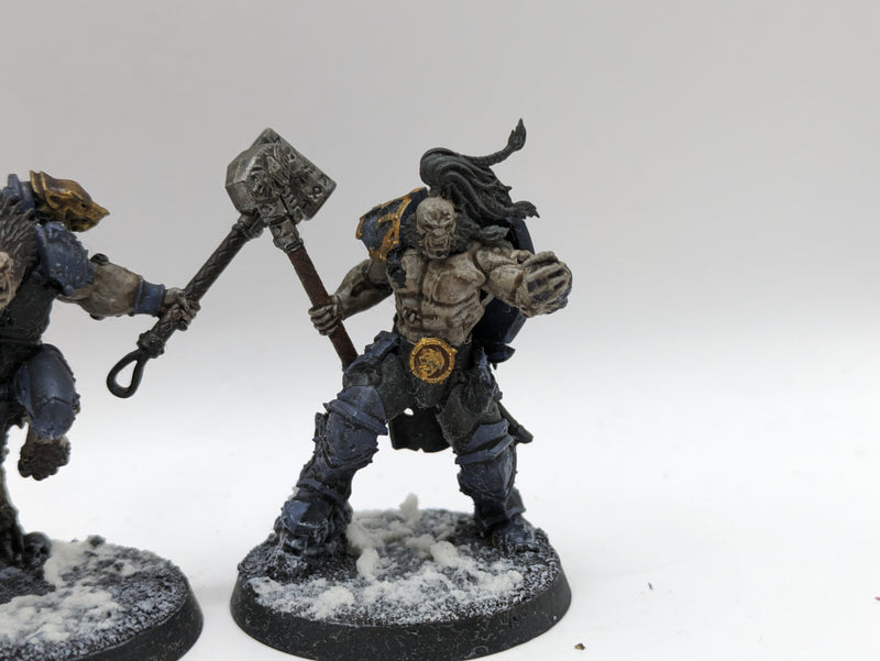 Warhammer 40k: Space Marine Space Wolves Wulfen (AW220)