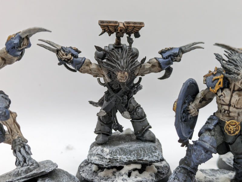 Warhammer 40k: Space Marine Space Wolves Wulfen (AC009)