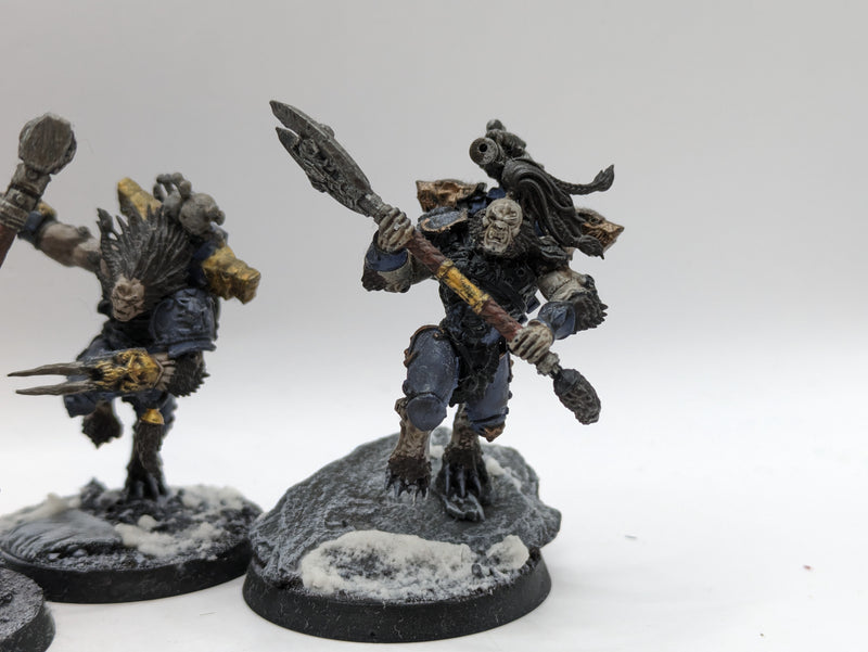 Warhammer 40k: Space Marine Space Wolves Wulfen (AC009)