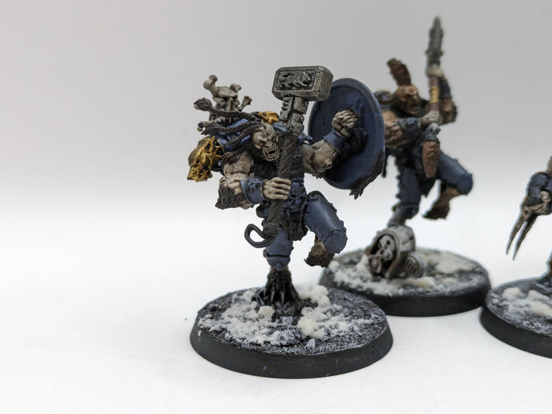 Warhammer 40k: Space Marine Space Wolves Wulfen (BC071)