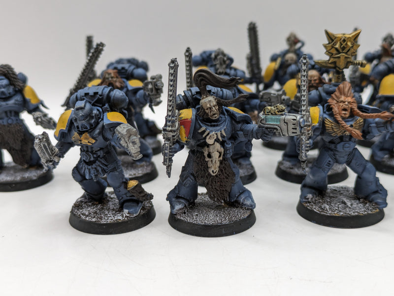 Warhammer 40k: Space Marine Space Wolves Blood Claws (AF030)