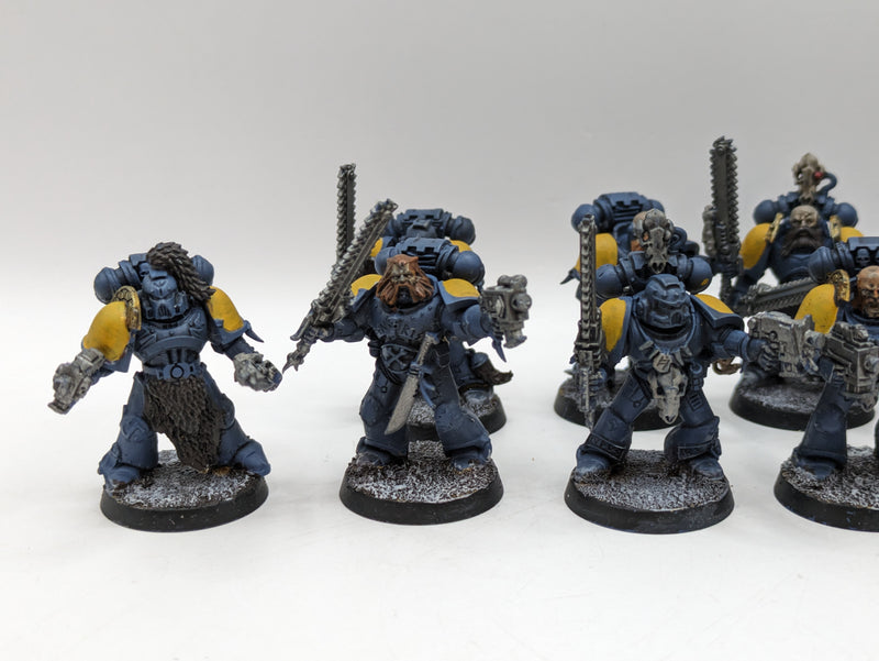 Warhammer 40k: Space Marine Space Wolves Blood Claws (AF030)