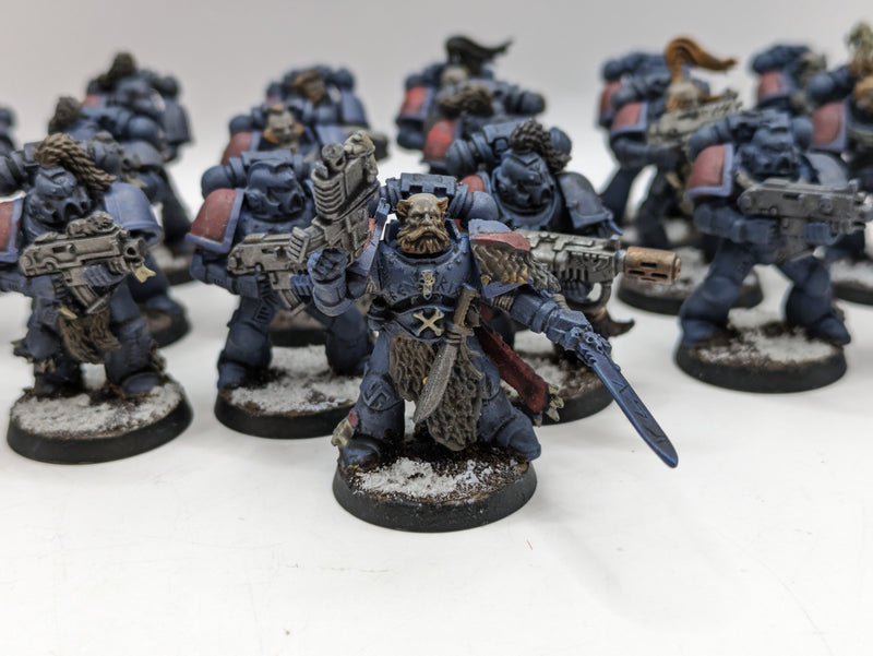 Warhammer 40k: Space Marine Space Wolves Grey Hunters (AT221)