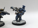 Warhammer 40k: Space Marine Space Wolves Converted Bladeguard Captain and Lieutenants (AI057)
